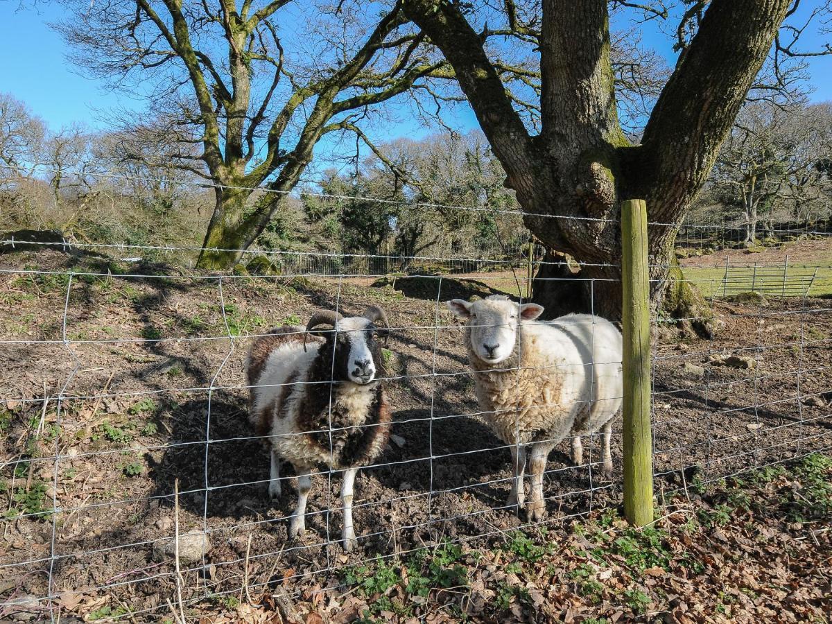 Pencarrow Villa Bodmin Eksteriør billede